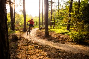 Mountainbiker im Wald 