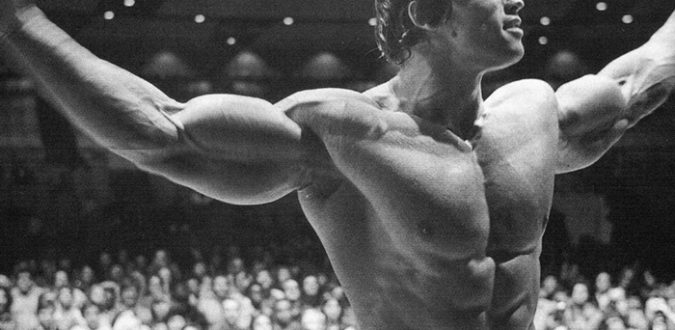 Arnold Schwarzenegger Trainingsplan Bodybuilding Motivation