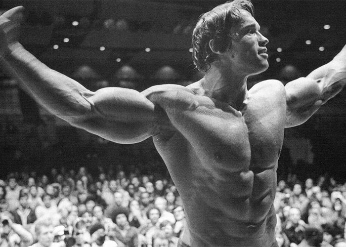 Arnold Schwarzenegger Trainingsplan