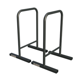 hold strong fitness high-parallettes