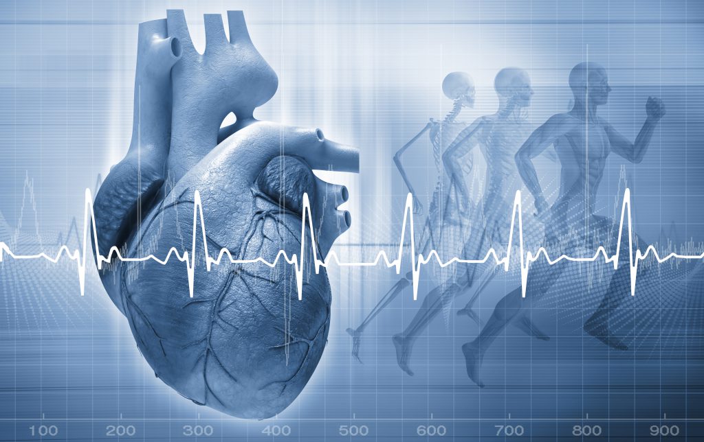 Herzfrequenz: Was sie für Training und Gesundheit bedeutet - sofimo.de