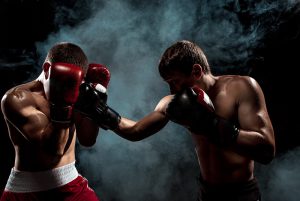 boxer boxverband kampf