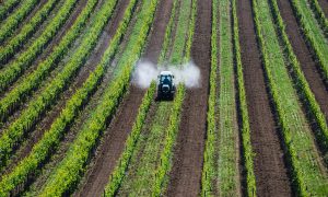 traktor versprüht pestizide auf feld