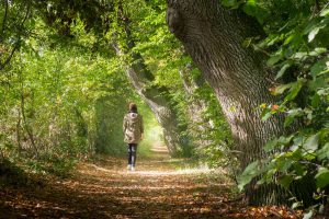 Wandern in der Natur