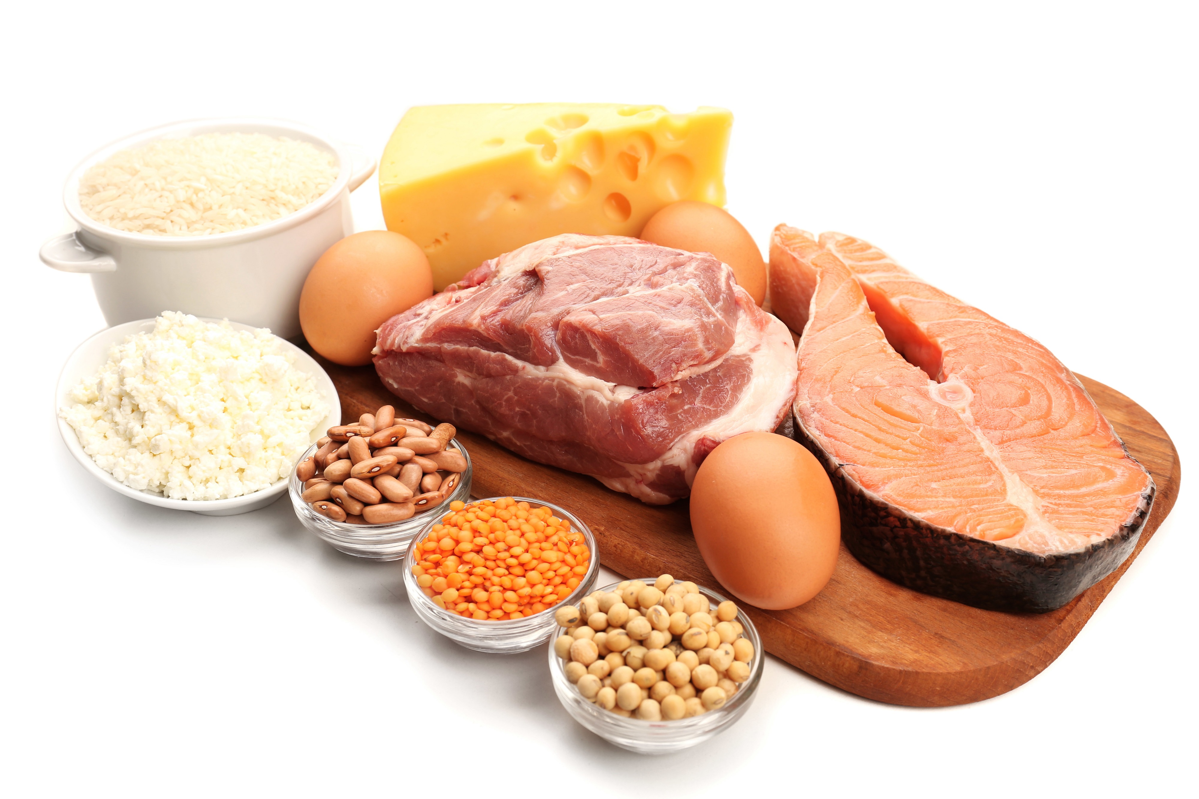 Основное питание белки