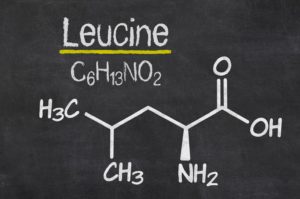 Formel von Leucine auf einer Tafel